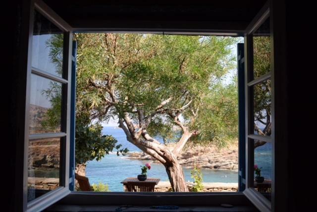 Villa Aphrodite Koundouros 外观 照片